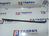 Молдинг лобового стекла левый BMW X6 (E71) 51317250403.