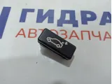Кнопка закрывания багажника BMW X6 (E71) 61318375580.
