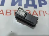 Кнопка закрывания багажника BMW X6 (E71) 61318375580.