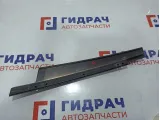 Накладка двери передней левой BMW X6 (E71) 51337179419.