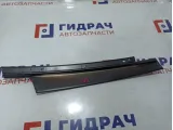 Накладка двери передней правой BMW X6 (E71) 51337179420.