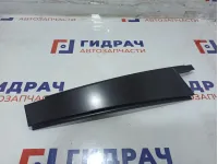 Накладка двери задней левой BMW X6 (E71) 51357179409.