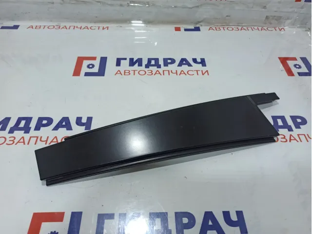 Накладка двери задней левой BMW X6 (E71) 51357179409.