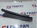 Накладка двери задней левой BMW X6 (E71) 51357179409.