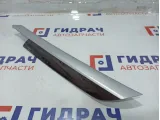 Накладка обшивки двери задней левой BMW X6 (E71) 51429129393. Потертости.