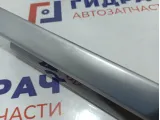 Накладка обшивки двери задней левой BMW X6 (E71) 51429129393. Потертости.