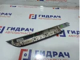 Накладка обшивки двери задней левой BMW X6 (E71) 51429129393. Потертости.