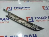 Накладка обшивки двери передней правой BMW X6 (E71) 51419130560. Дефект ЛКП.Потертости.