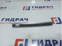 Накладка декоративная на торпедо средняя BMW X6 (E71) 51456956693. Сломано крепление.