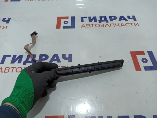 Блок кнопок BMW X6 (E71) 61319180946.