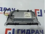 Дисплей информационный BMW X6 (E71) 65509194064.