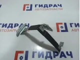 Крепление АКБ (корпус/подставка) BMW X6 (E71) 61217555905.