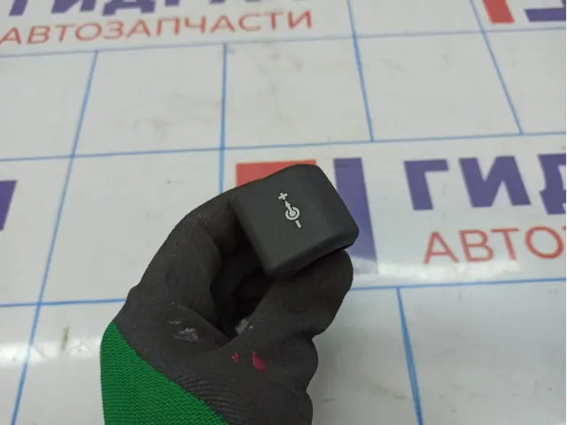 Прикуриватель BMW X6 (E71) 61346904008.