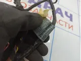 Проводка двери передней левой BMW X6 (E71) 61129203280.