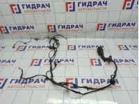 Проводка двери передней правой BMW X6 (E71) 61129203296.