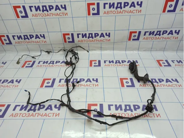 Проводка двери передней правой BMW X6 (E71) 61129203296.