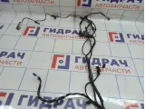 Проводка двери передней правой BMW X6 (E71) 61129203296.