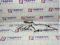 Проводка двери задней левой BMW X6 (E71) 61129203309.