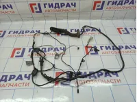 Проводка двери задней правой BMW X6 (E71) 61129203309.