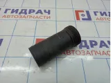 Пыльник заднего амортизатора BMW X6 (E71) 33526776132.