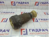Воздушная подушка (опора пневматическая) BMW X6 (E71) 37126790082.