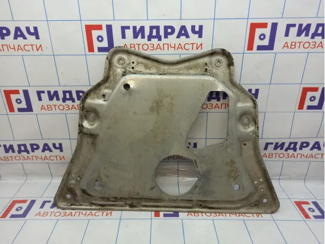 Защита картера BMW X6 (E71) 31106786568.