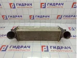 Интеркулер BMW X6 (E71) 17517809321.