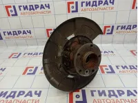 Кулак поворотный задний левый BMW X6 (E71) 33326879101.