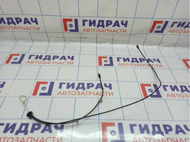 Трос ящика для инструментов BMW X6 (E71) 51166977776.