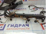 Проводка моторная BMW X6 (E71) 12517583103. Дефект.