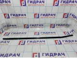 Накладка стекла переднего правого BMW X6 (E71) 51337187216