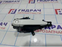 Ручка двери передней наружная левая BMW X6 (E71) 51217207565