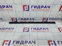 Уплотнитель стекла двери передней левой BMW X6 (E71) 51337179427