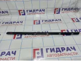 Уплотнитель стекла двери передней правой BMW X6 (E71) 51337179428