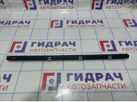 Уплотнитель стекла двери задней правой BMW X6 (E71) 51357179404