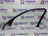 Накладка двери передней правой BMW X6 (E71) 51337179686