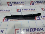 Накладка двери передней левой BMW X6 (E71) 51337187201