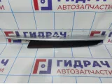 Накладка обшивки двери передней левой BMW X6 (E71) 51419130559