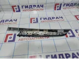 Накладка обшивки двери передней правой BMW X6 (E71) 51419130560