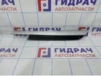 Накладка обшивки двери задней левой BMW X6 (E71) 51429129393