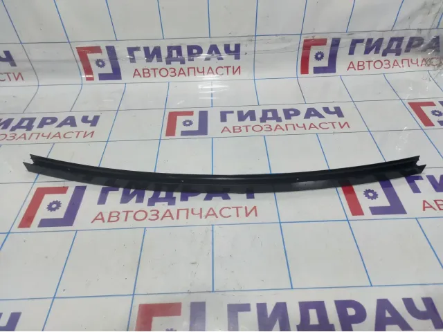 Направляющая стекла двери задней правой BMW X6 (E71) 51357187212