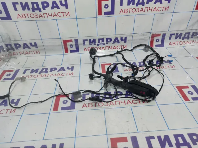 Проводка двери передней правой BMW X6 (E71) 61129207852