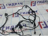 Проводка двери передней правой BMW X6 (E71) 61129207852