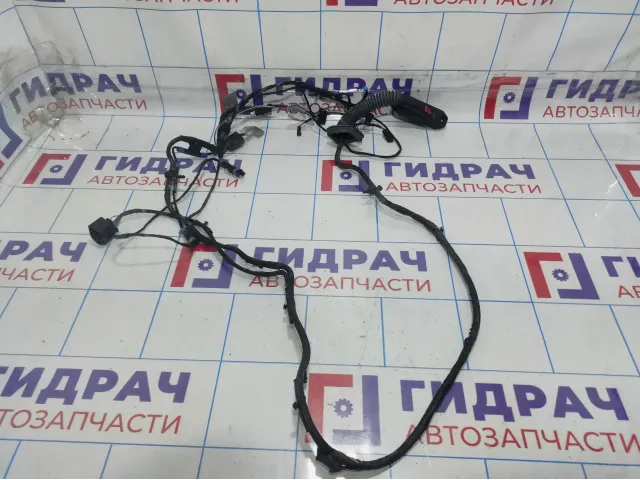 Проводка двери задней левой BMW X6 (E71) 61129203309
