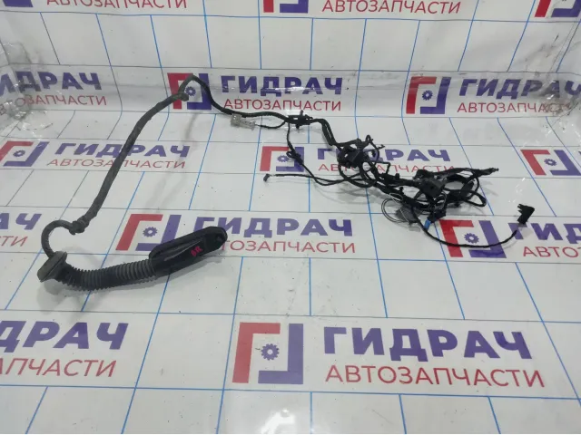 Проводка двери задней правой BMW X6 (E71) 61129203309