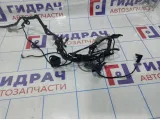Проводка двери задней правой BMW X6 (E71) 61129203309