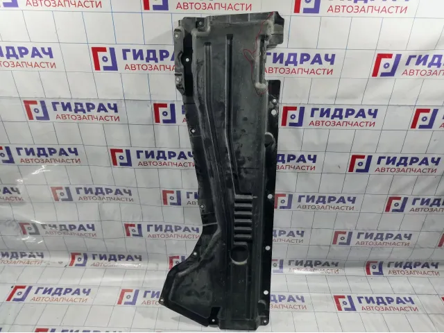 Защита антигравийная BMW X6 (E71) 51757158403