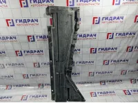 Защита антигравийная BMW X6 (E71) 51757158404