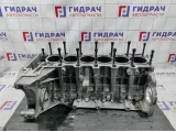 Блок двигателя BMW X6 (E71) 11110443605