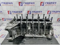 Блок двигателя BMW X6 (E71) 11110443605